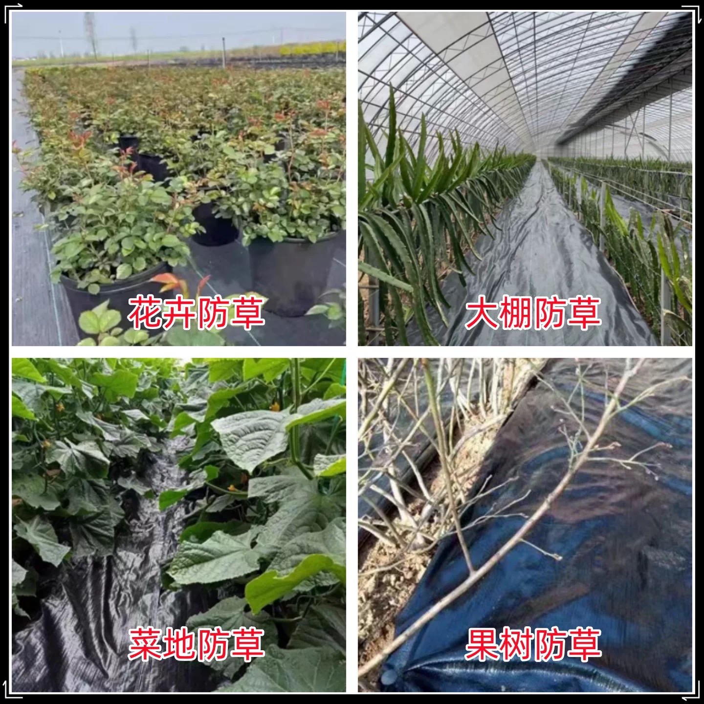福州市果树反光膜防草布 - 推荐