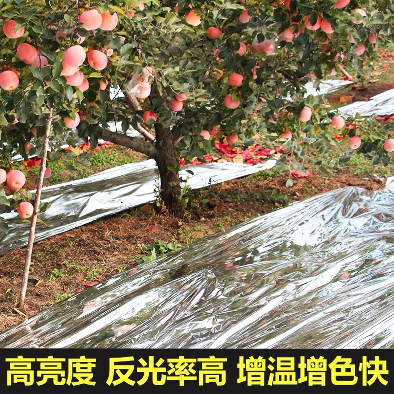 福州市塑料薄膜果树反光膜 - 推荐